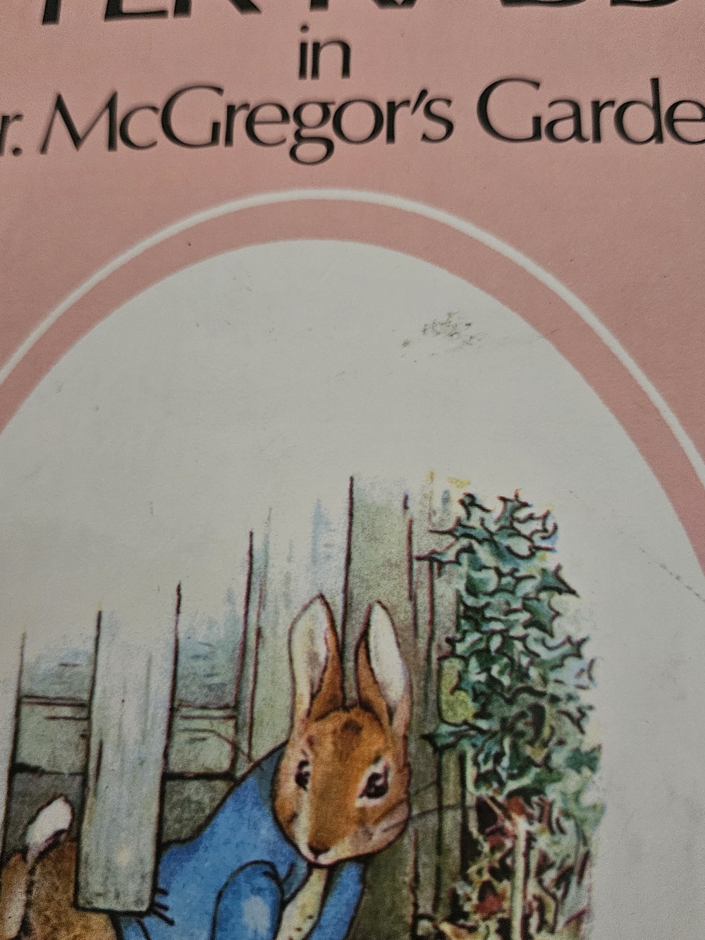 Classic Pink Peter Rabbit Precious Kid's Pop Up Book Bunny